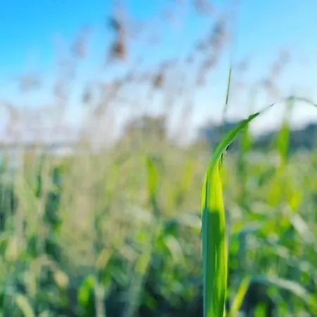 Haus Water Jieper Prázdninový dům Göhren-Lebbin